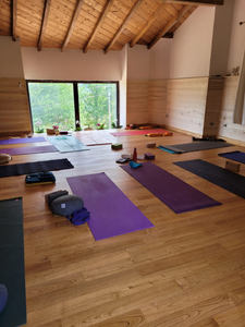 Raquettes, Spa & Yoga en Ariège