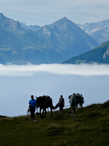 Cheval & Yoga en itinérance dans les Pyrénées