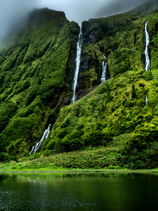 Sauvage par nature aux Açores