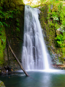 Sauvage par nature aux Açores