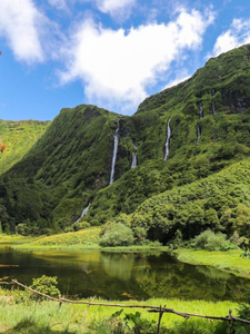 Sauvage par nature aux Açores