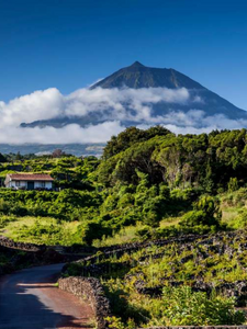 Sauvage par nature aux Açores