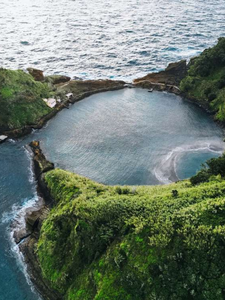 Sauvage par nature aux Açores