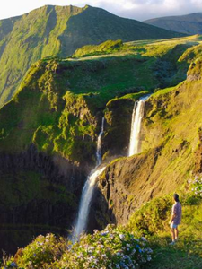 Sauvage par nature aux Açores