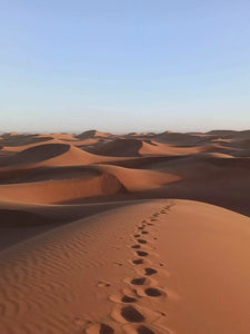 Immersion dans le désert marocain